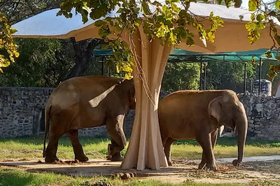 Zoo Park