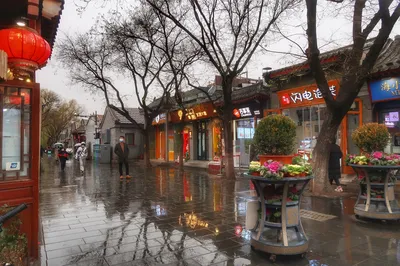 A Three-Day, Two-Night Immersive Journey: Tracing Hutong Memories and Listening to the Voice of Beijing
