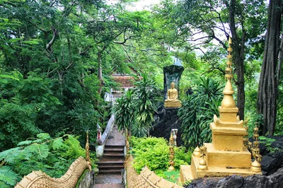 Phu Si