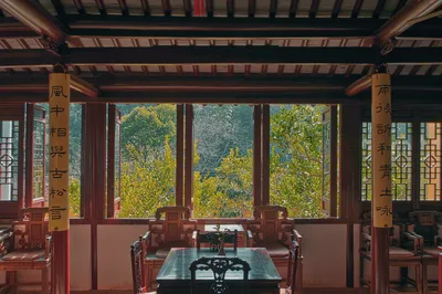 蘇州品茶