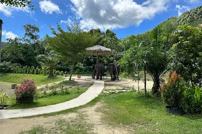 Elephant Jungle Sanctuary Phuket (Bang Tao Branch)