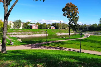 Summer garden