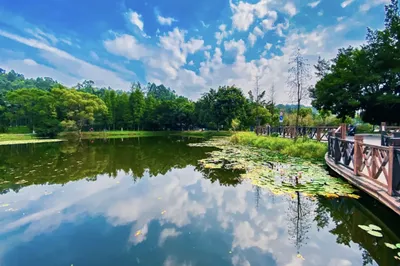 If You Haven’t Visited Guangzhou’s ‘Little Jiuzhaigou,’ You’ve Wasted Your Summer