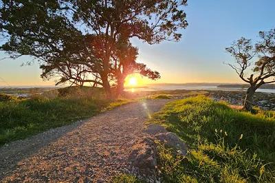 Mangere Domain