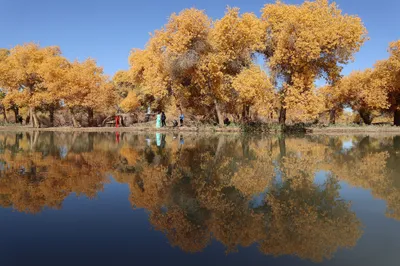 2020 Autumn Travelogue of Inner Mongolia, Gansu, and Qinghai