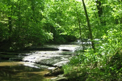 Beaman Park Nature Center