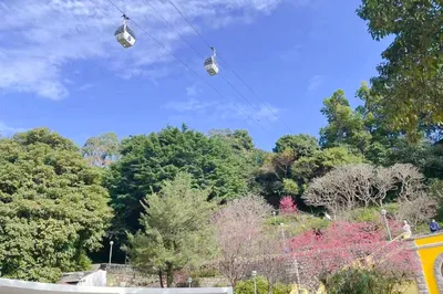 二龍喉公園