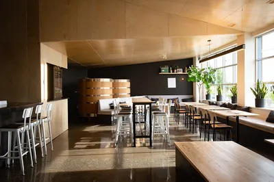 Annex Ale Project