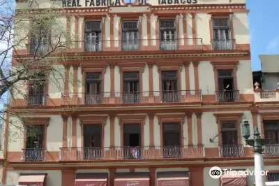 Partagas Cigar Factory