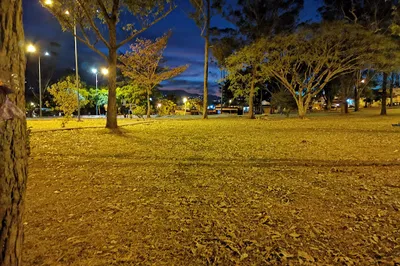 El Bosque Park
