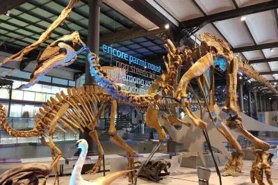 Royal Belgian institute of Natural Sciences