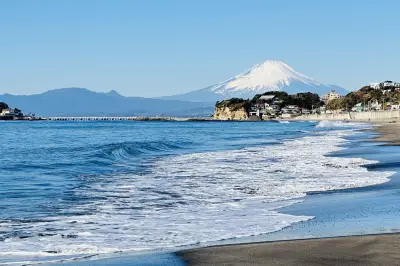 #2025年2月#镰仓-热海-伊豆-沼津