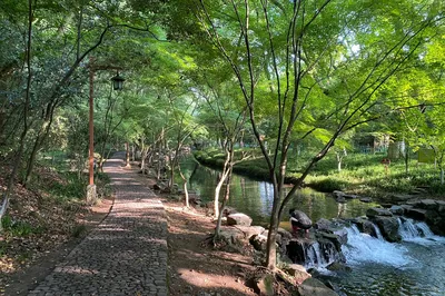 浙裏尋她千百度：烏鎮最媚，杭州最好（杭州篇）