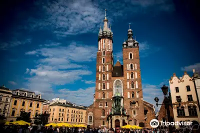 Legendary Kraków Local Tours, Auschwitz Salt Mine & More