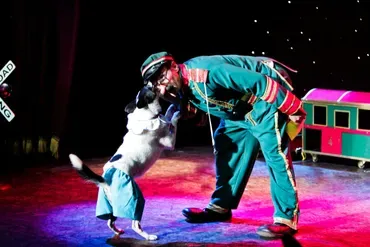 Popovich Comedy Pet Theater