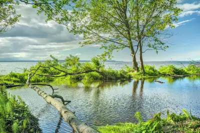 Golden Gardens Park
