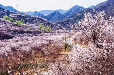 Badaling Ancient Great Wall