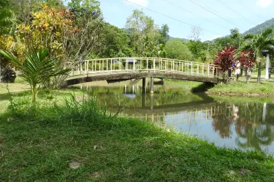 馬迪亞哥科技公園