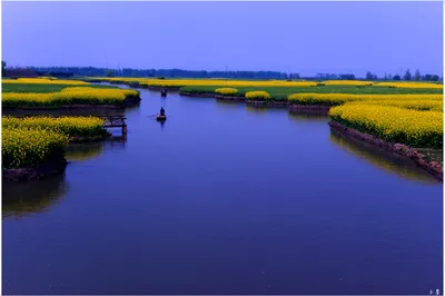 向春天出發——2019,3，自駕，踏春（十二）興化-千垛、溧水-天目湖。
