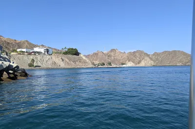 Oman - Muscat Dolphin Watching & Snorkeling
