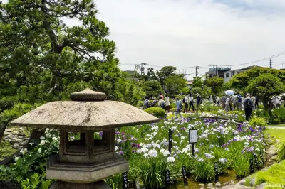 東京堀切菖蒲園與晴空塔  江戶風情的初夏浮世繪風景