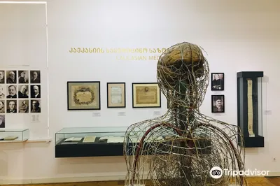 The Museum for History of Georgian Medicine