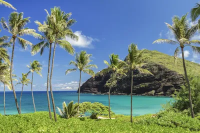 Makapu‘U Point