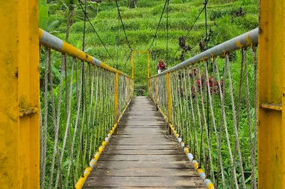 Uma Ceking Bamboo Bridge