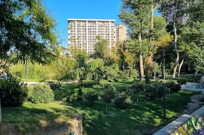 Mziuri Park