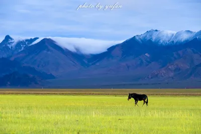 Mysterious Kunlun, Source of Three Rivers! Why is this desolate and vast uninhabited area called the 'Water Tower of Asia'?