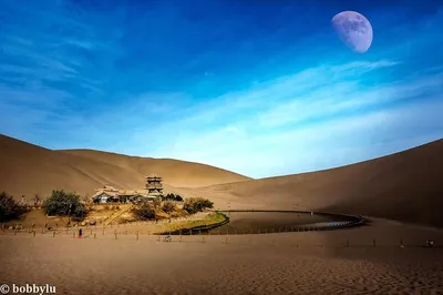In the Film City Amidst the Gobi Desert, You Are the Director and the Star—Shoot a Blockbuster, It's All Up to You!
