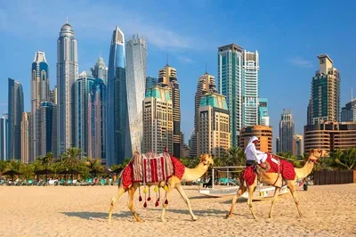 Unique UAE Cultural Experience | Dubai Trip