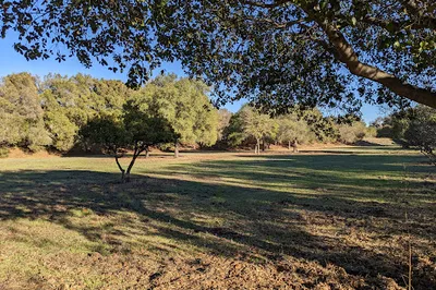 Metcalf Park