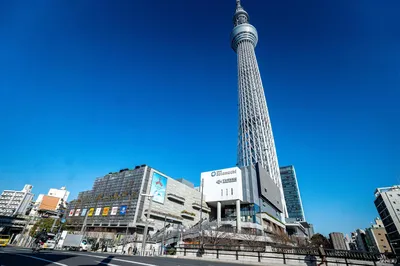 2024墨田水族館 東京晴空塔旁遇見企鵝家族 館內幸福感再升級