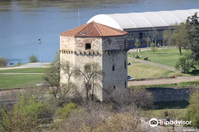Nebojša Tower