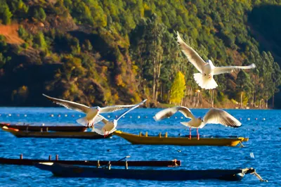 Sichuanlugu Lake Scenic Area