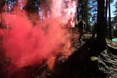 GUNS nLASERS