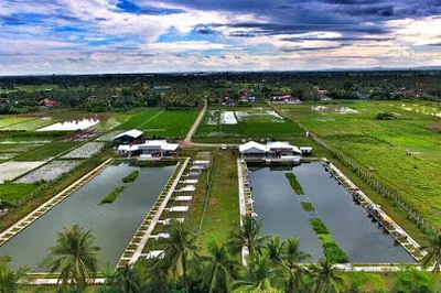 ໜອງປາພິລາວັນ - Philavanh Fishing