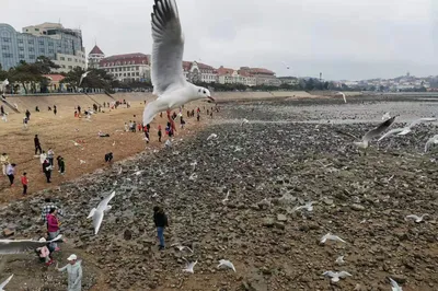 不負口碑特別好！青島這些人氣打卡地趁着假期集齊啦
