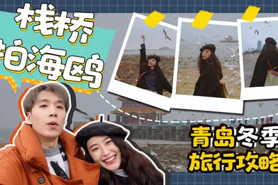 青島冬季旅行新玩法之必玩項目：拍海鷗！
