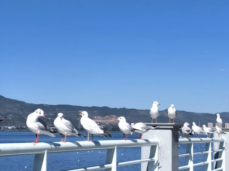 暑假学生穷游云南旅游攻略大全