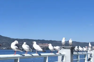 暑假学生穷游云南旅游攻略大全