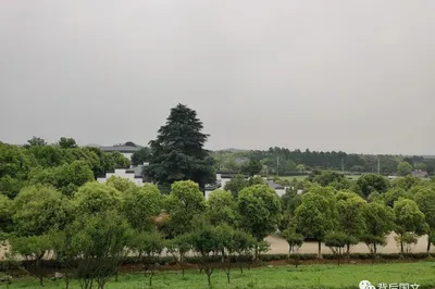 Life Philosophy of Going with the Flow and Getting Close to Nature — Revisiting Kunshan Lake Tourist Resort