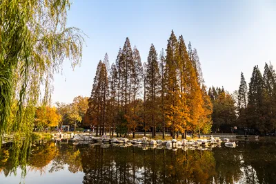 中山公園