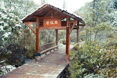 接仙橋