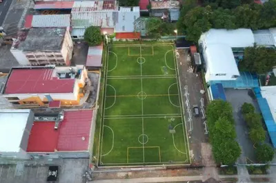 Bulldogs Fields, Cancha Sintética