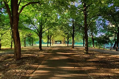 North Park of Milan