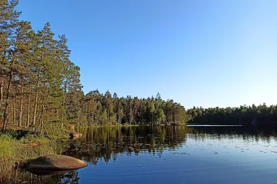 Meikon luonnonsuojelualue