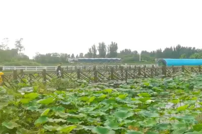 郑州秋天带孩子有什么玩的？周边3个遛娃玩一天的宝藏景点分享！