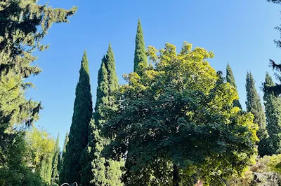 Ilia Garden